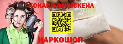 гашик Будённовск