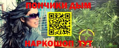 гашик Будённовск