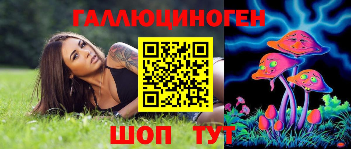 Псилоцибиновые грибы GOLDEN TEACHER  Вход с VPN  наркошоп  Советск 